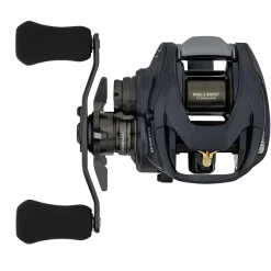 Daiwa Steez A II TW Baitcaster Reel