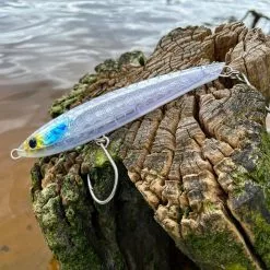 Ocean’s Legacy Keeling 123mm Stickbait -Reels Shop 301991938 1636222916774223 1125157310725716984 n 1