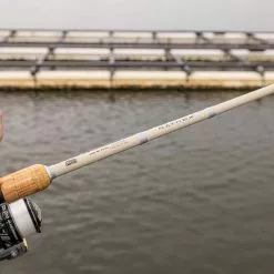 Abu Garcia Rayrex II Rods -Reels Shop 306506324 2449028655263500 8649348667103519090 n