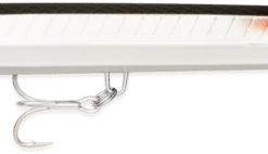 RAPALA FLASH-X SKITTER LURE 12 RAPALA FLASH-X SKITTER LURE -Reels Shop 9ebfi35srl1a5dj0oeidgtun60