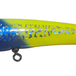 ReefsEDGE Atoll 70 DivePOP -Reels Shop Capture 2 2