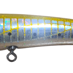 ReefsEDGE Atoll 70 DivePOP -Reels Shop Capture 5 1