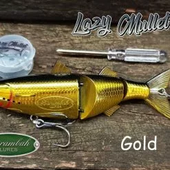 BARAMBAH LURES LAZY MULLET 150MM -Reels Shop Lazy Mullet Gold f448f6be ba0e 4efb 9d20 4313d50b1088 1024x1024