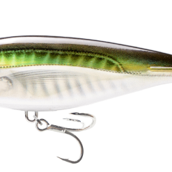 Nomad Madscad 95mm Sinking Stickbait -Reels Shop MADSCAD95 OBS