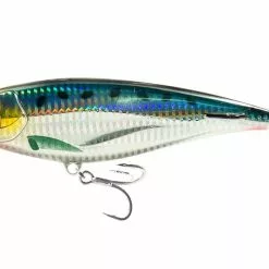 Nomad Madscad 95mm Sinking Stickbait -Reels Shop MADSCAD95 SARSARDINE