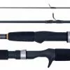 Daiwa RZ Rod -Reels Shop RZ rod 2000x