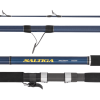 Daiwa 21 Saltiga Surf Rod