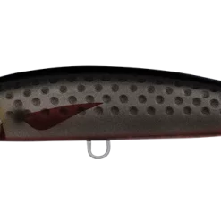 Daiwa Saltiga Rough Ride 160F Lure -Reels Shop SHORESPARTANROUGHRIDESARDINE 1080x 0006 DAIWA SALTIGA ROUGH RIDE 160F BRF 1080x