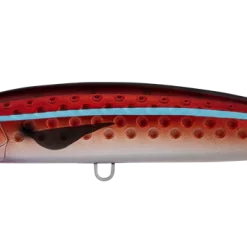 Daiwa Saltiga Rough Ride 140F Lure 11 Daiwa Saltiga Rough Ride 140F Lure -Reels Shop SHORESPARTANROUGHRIDESARDINE 1080x 0011 DAIWA SALTIGA ROUGH RIDE 140F RED FLASH 1080x 1