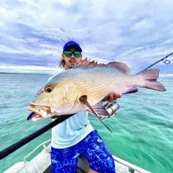 Reels Shop -Reels Shop asdas