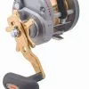 DAIWA SALTIST OVERHEAD LW REEL NLA -Reels Shop saltist lw 1000x