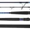 Daiwa Saltist X Rod