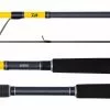 Daiwa Seabass Rod 2 Daiwa Seabass Rod -Reels Shop seabass rod 2000x