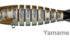Biwaa S’Trout 3.5″ Swimbait Lure -Reels Shop yamame